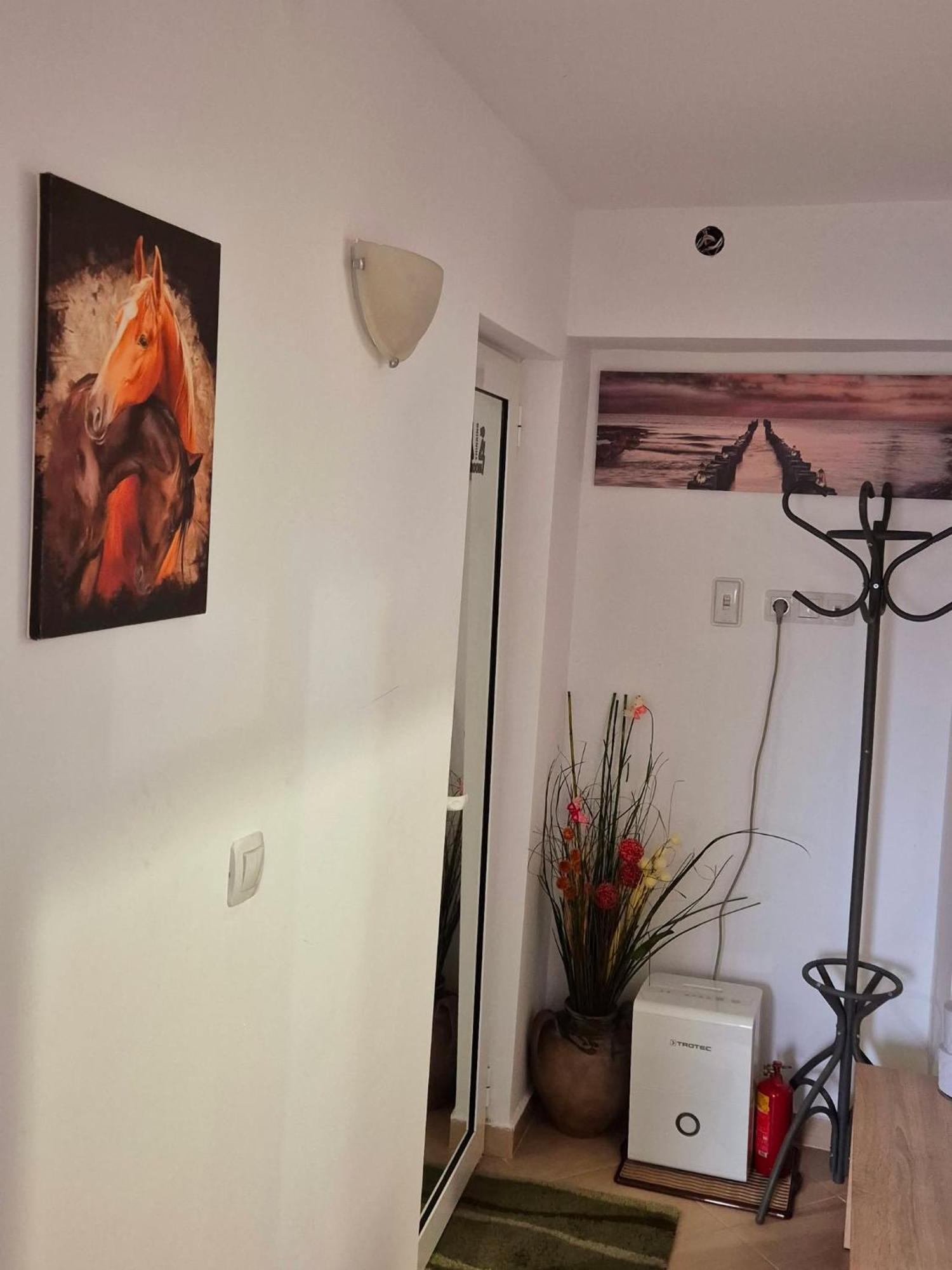 Apartment Shesti Uchastak Gabrovo Kültér fotó